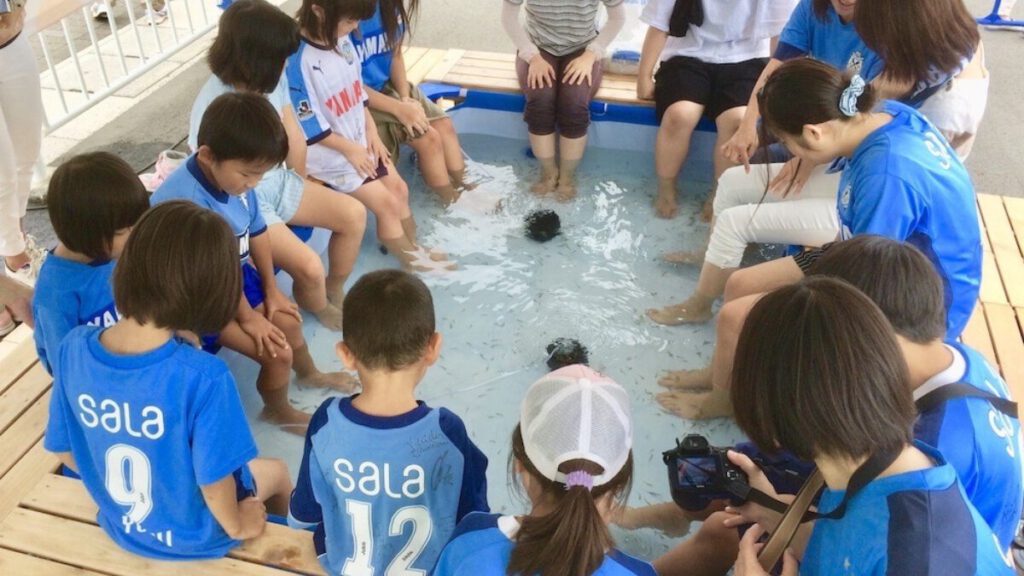 ドクターフィッシュ　イベント　静岡