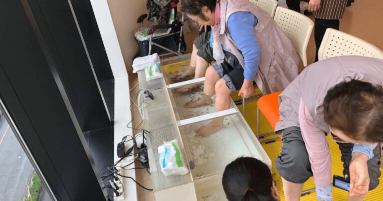 ドクターフィッシュ　イベントレンタル　広島