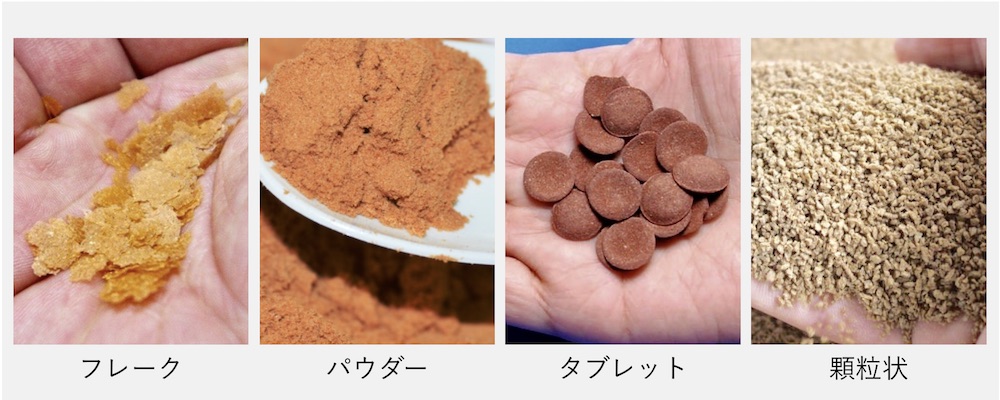 ドクターフィッシュ餌の選び方