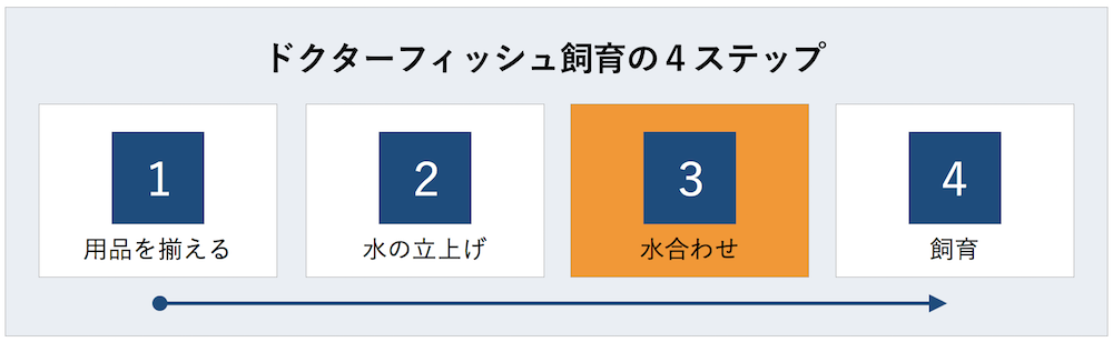 ドクターフィッシュの水合わせ