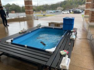 ドクターフィッシュ　レンタル