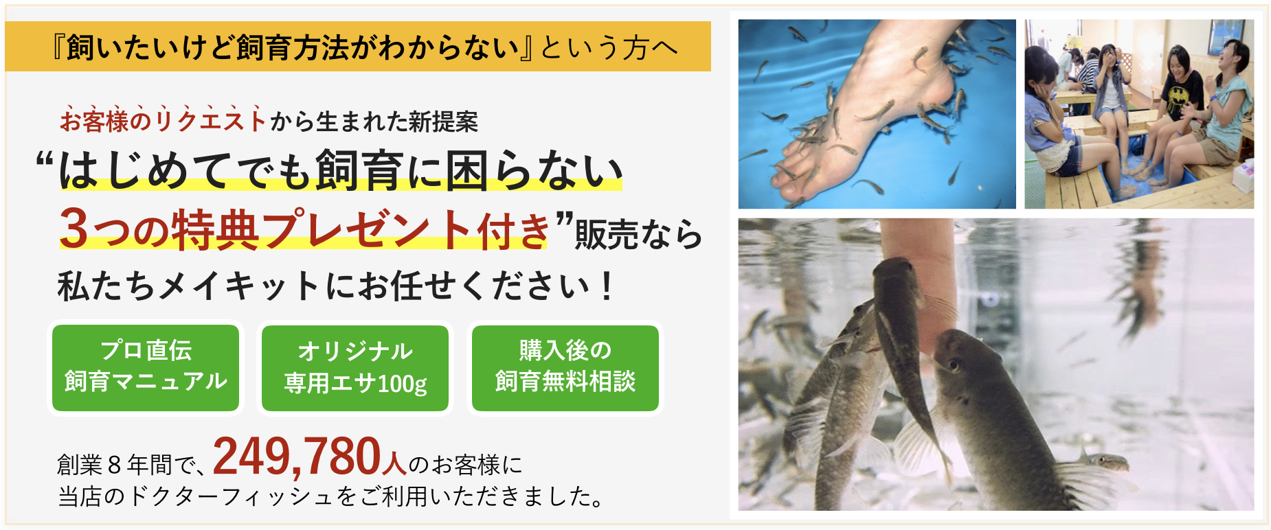 『飼いたいけど飼育方法がわからない』という方へ お客様のリクエストから生まれた新提案 “はじめてでも飼育に困らない 3つの特典プレゼント付き”販売なら 私たちメイキットにお任せください!プロ直伝 飼育マニュアル オリジナル 専用エサ 購入後の 飼育無料相談 創業8年間で、249,780人のお客様に 当店のドクターフィッシュをご体験いただきました。
